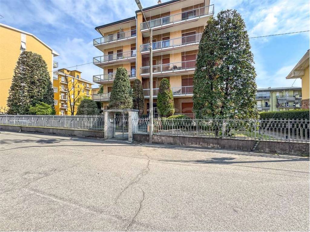 immagine annuncio 4 di 15