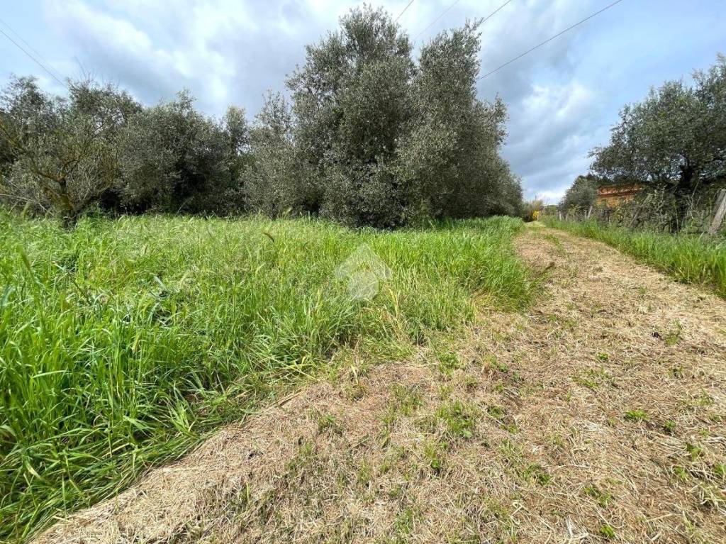 immagine annuncio 8 di 13