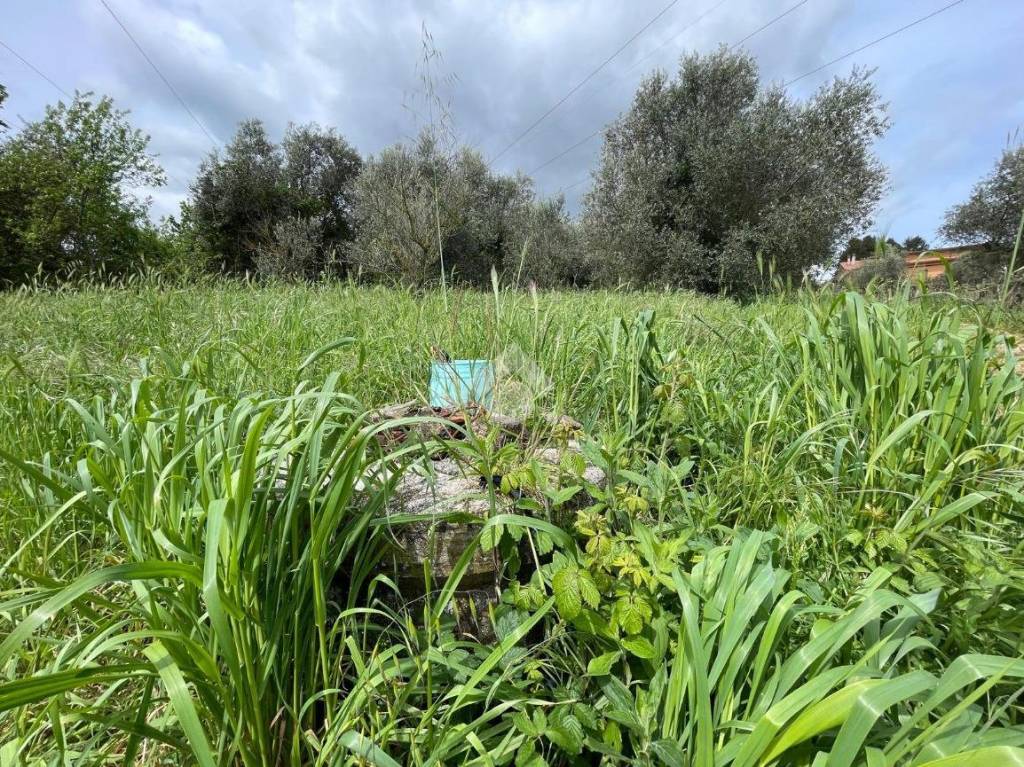immagine annuncio 11 di 13