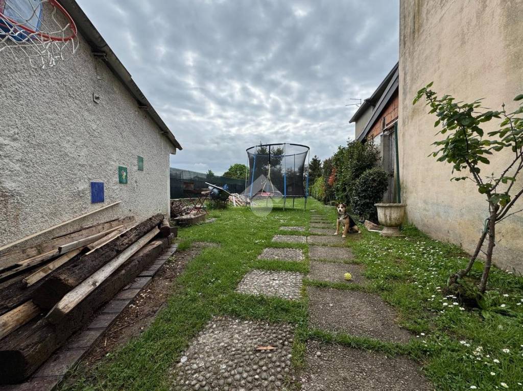 immagine annuncio 4 di 15