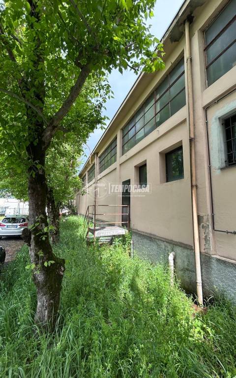 immagine annuncio 8 di 11