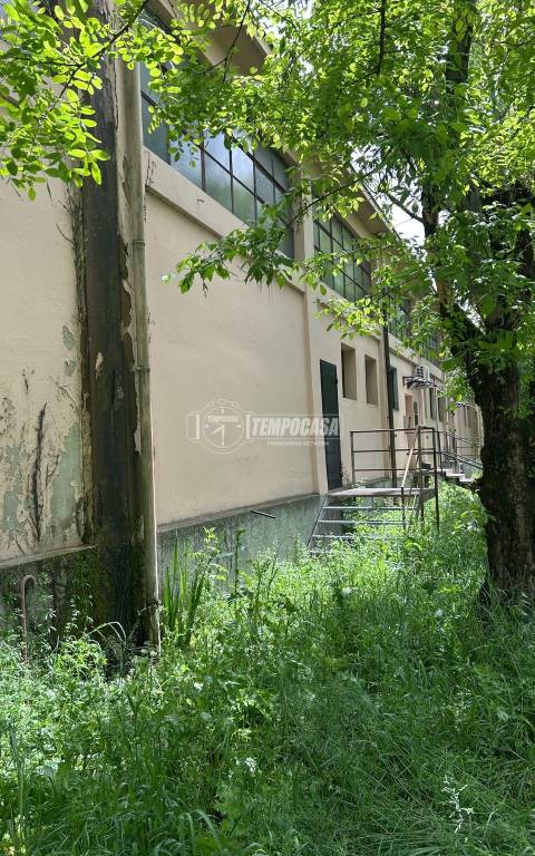 immagine annuncio 9 di 11