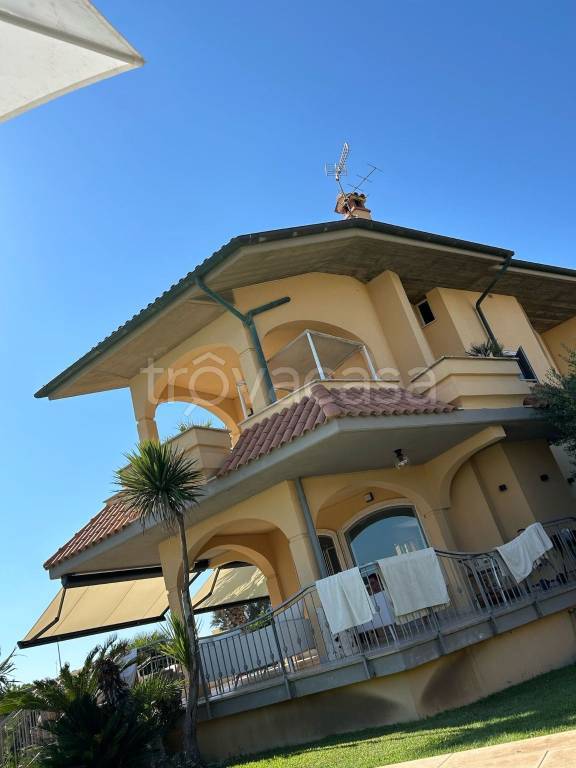immagine annuncio 9 di 15