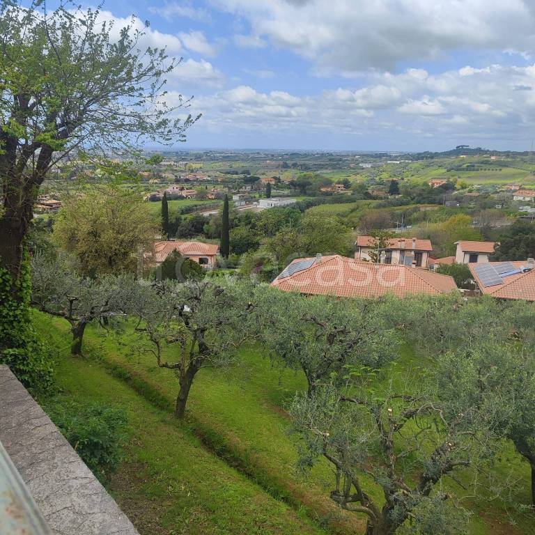 immagine annuncio 7 di 12