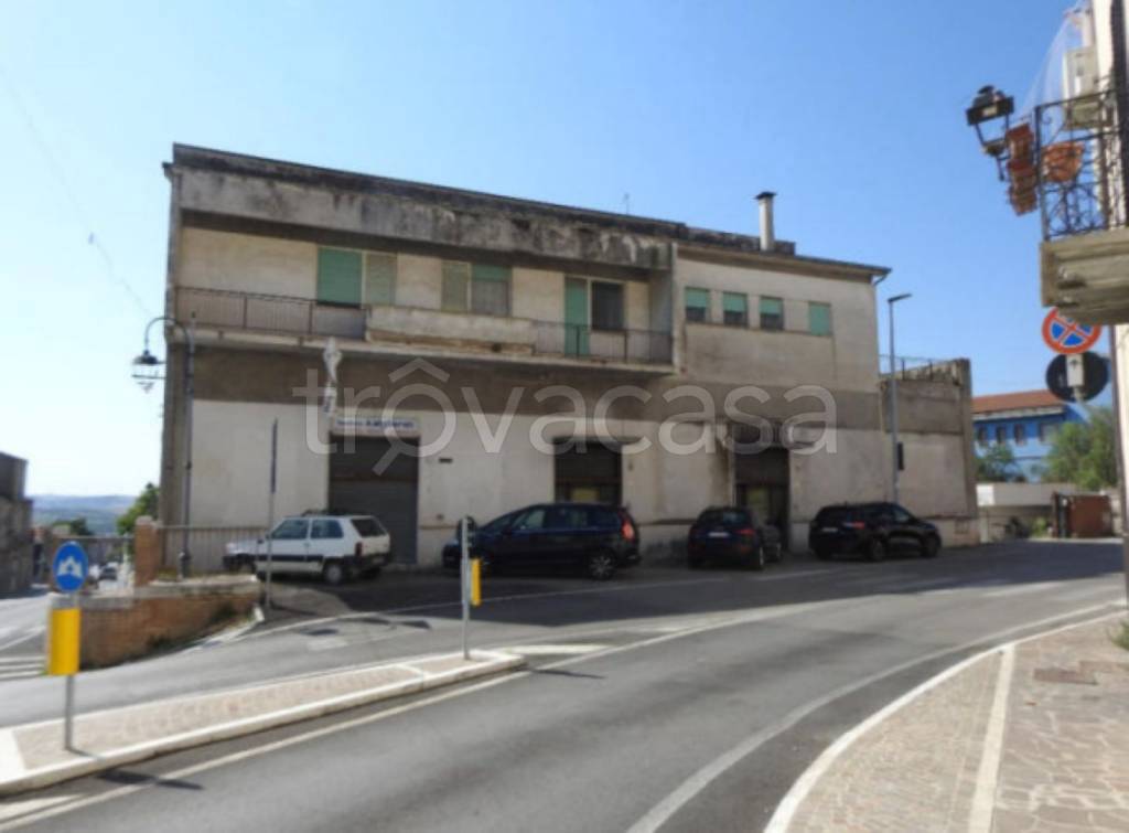 immagine annuncio 2 di 11