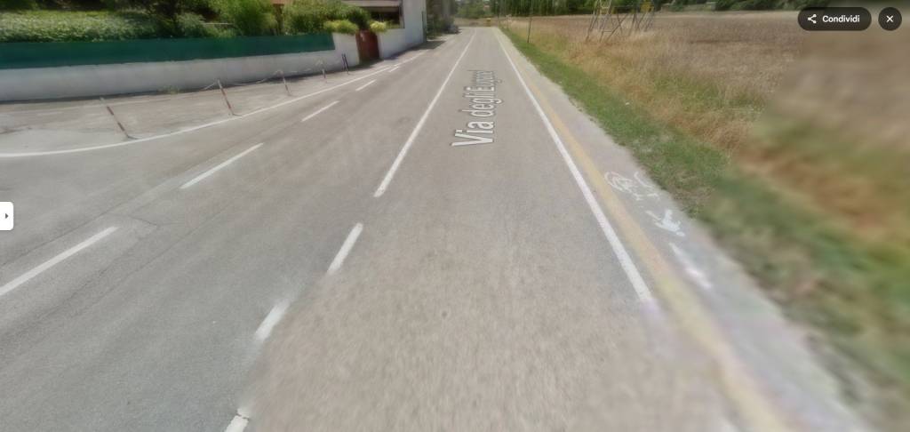 immagine annuncio 5 di 12