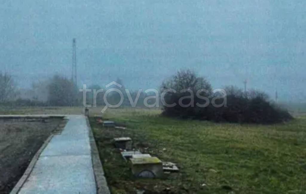 immagine annuncio 10 di 11