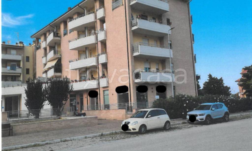 immagine annuncio 2 di 13