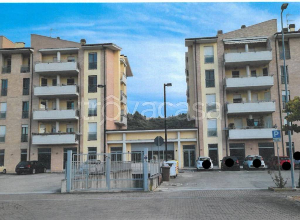 immagine annuncio 11 di 13