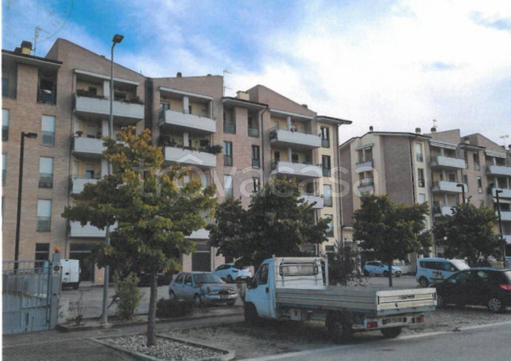 immagine annuncio 12 di 13