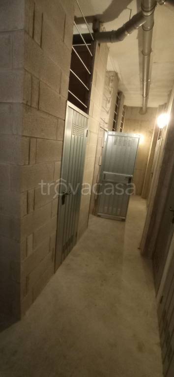 immagine annuncio 7 di 12