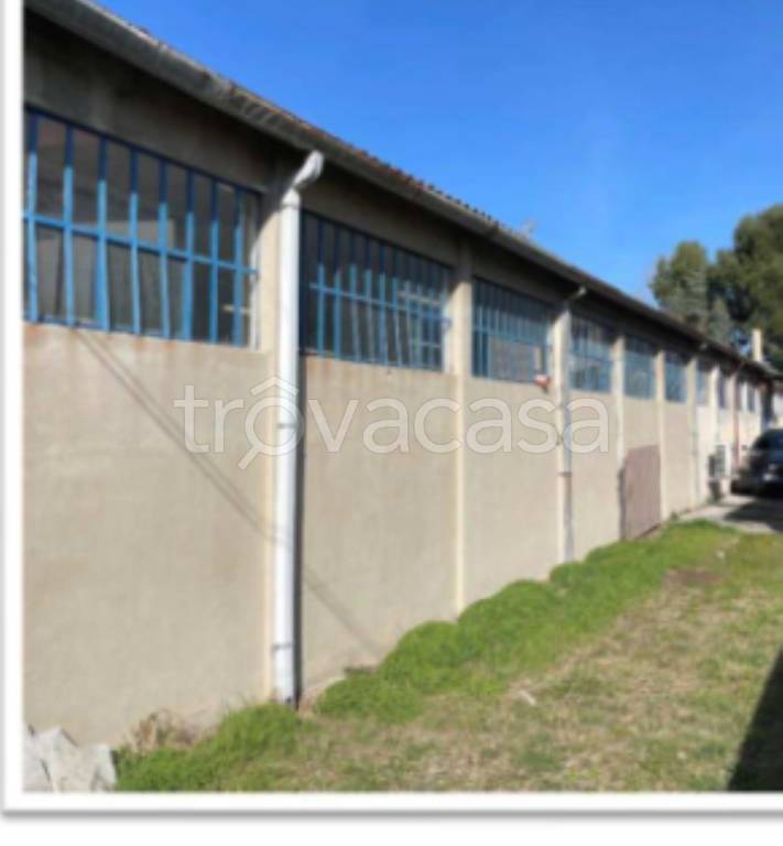 immagine annuncio 5 di 11