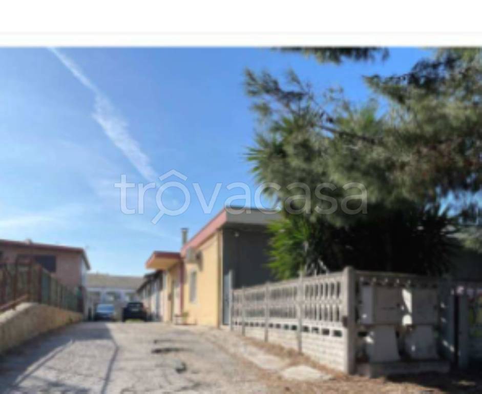 immagine annuncio 8 di 11