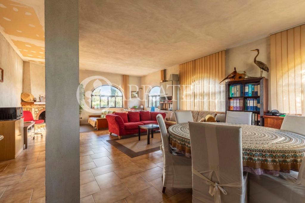 immagine annuncio 10 di 15