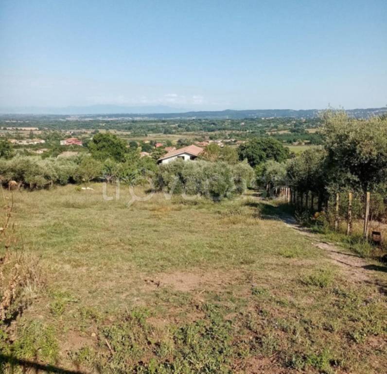 immagine annuncio 10 di 13