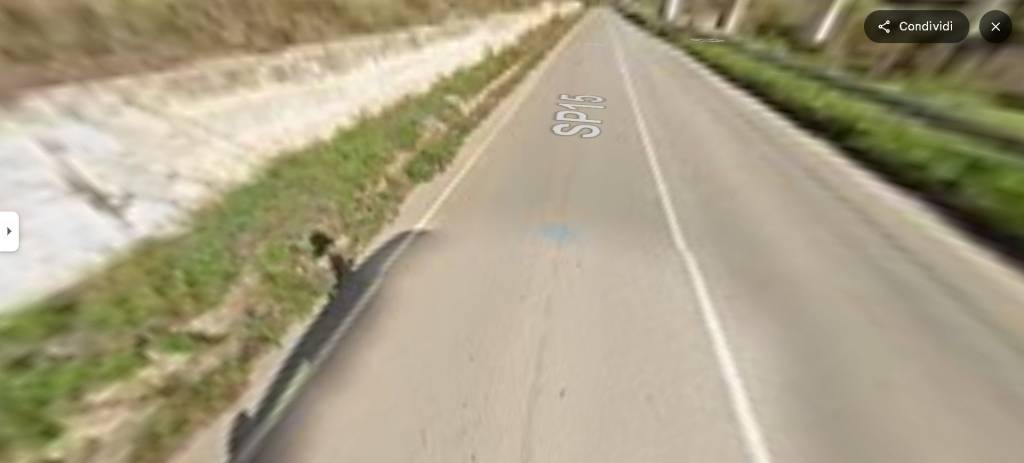 immagine annuncio 9 di 14