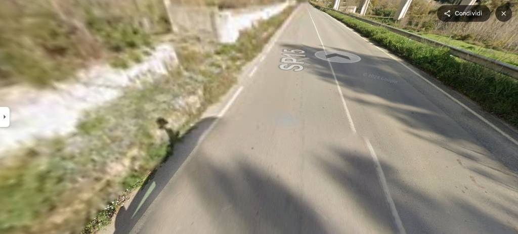 immagine annuncio 11 di 14