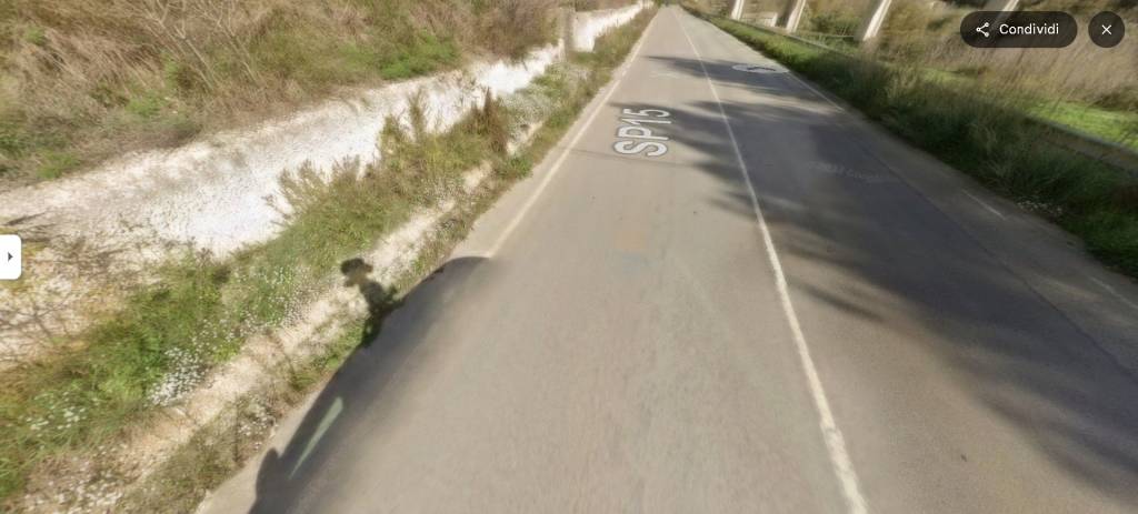 immagine annuncio 12 di 14