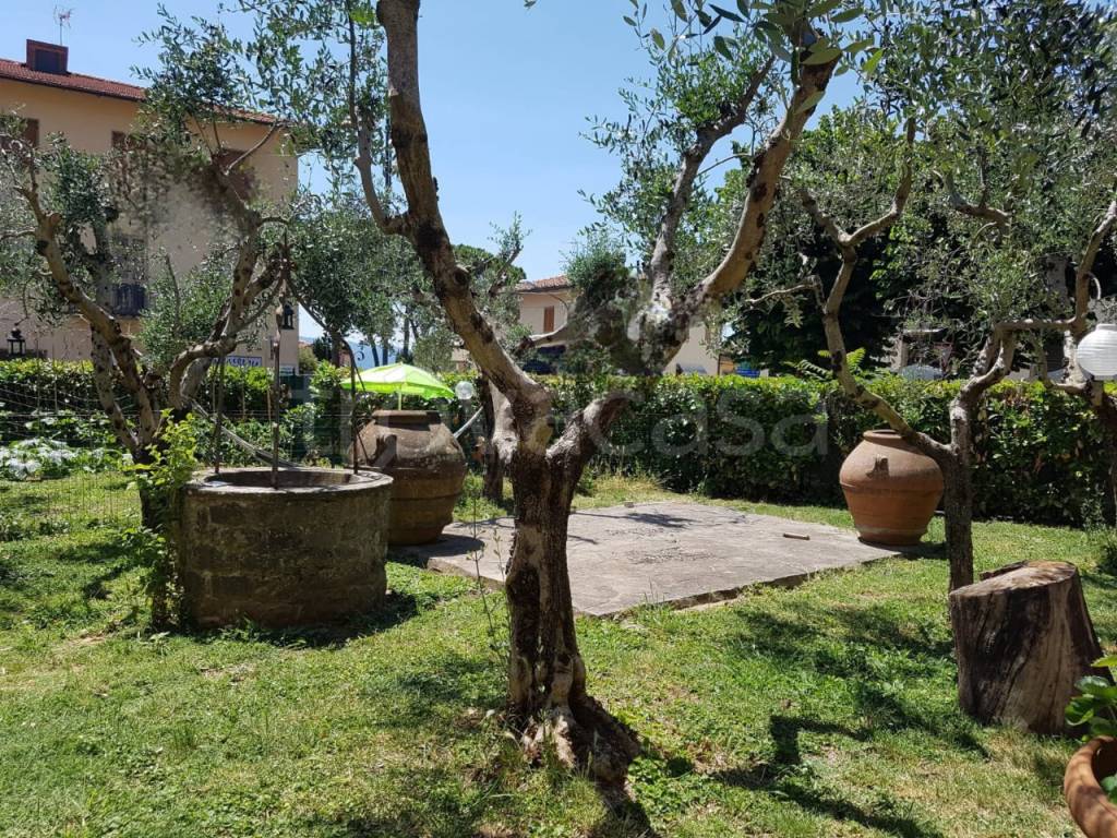 immagine annuncio 8 di 12