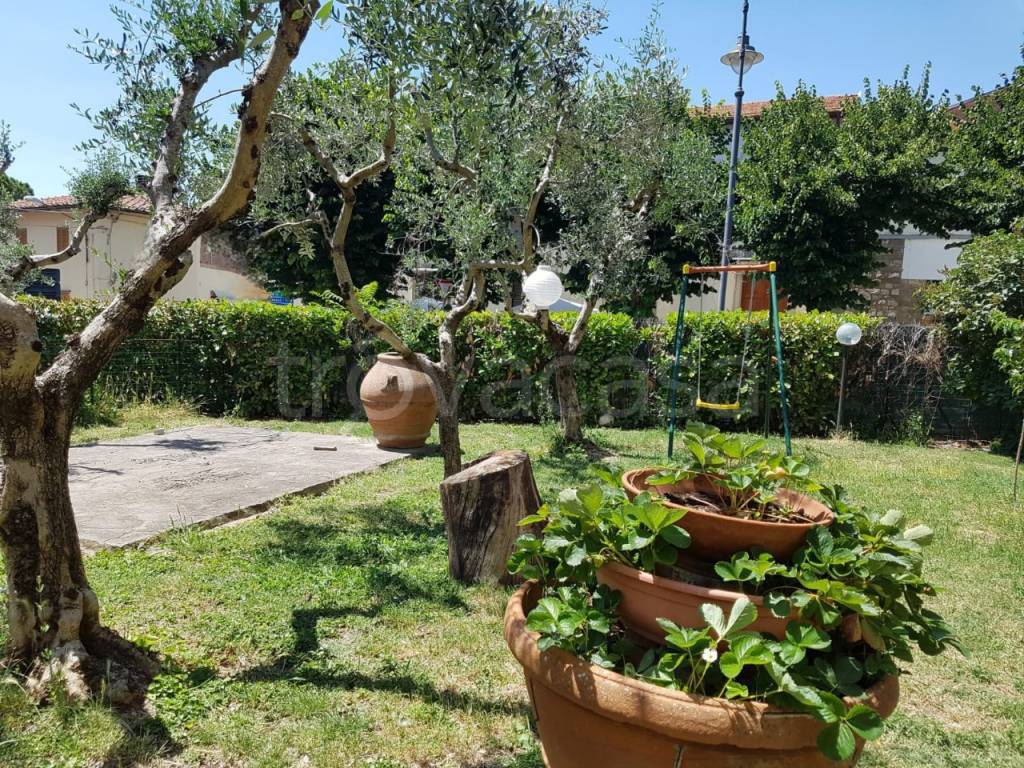 immagine annuncio 10 di 12