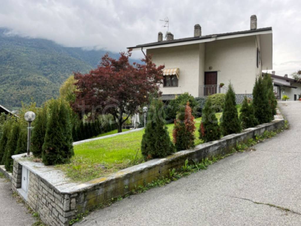 immagine annuncio 5 di 12