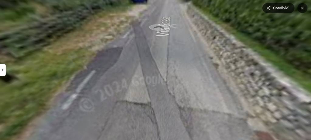 immagine annuncio 9 di 14