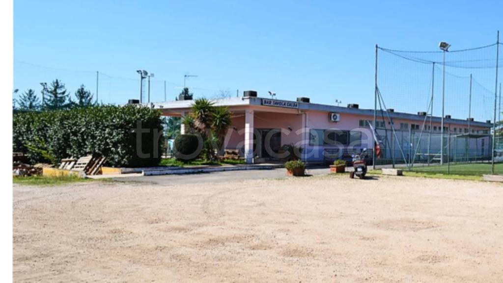 immagine annuncio 1 di 11