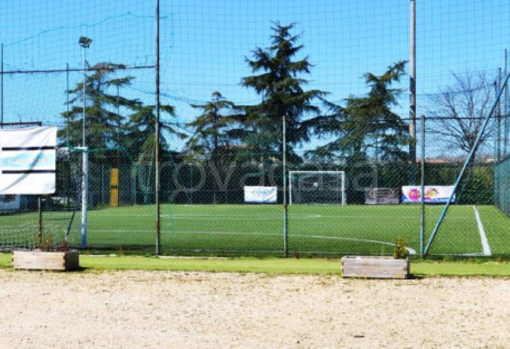 immagine annuncio 5 di 11