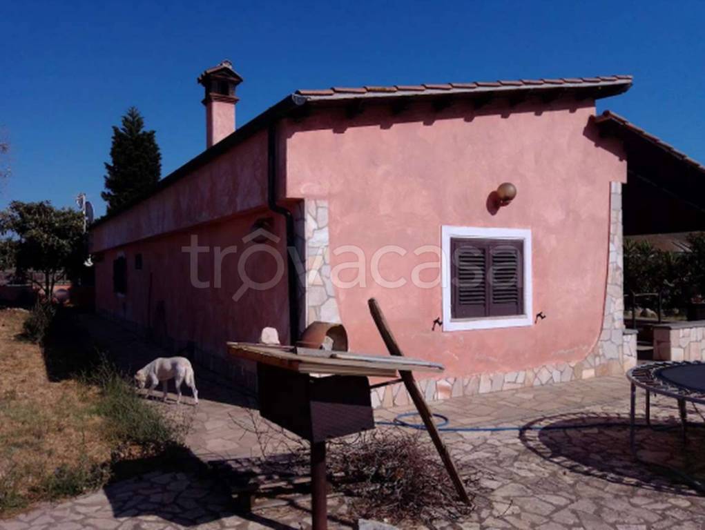 immagine annuncio 11 di 13