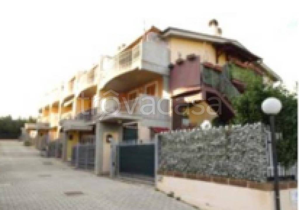 immagine annuncio 1 di 12