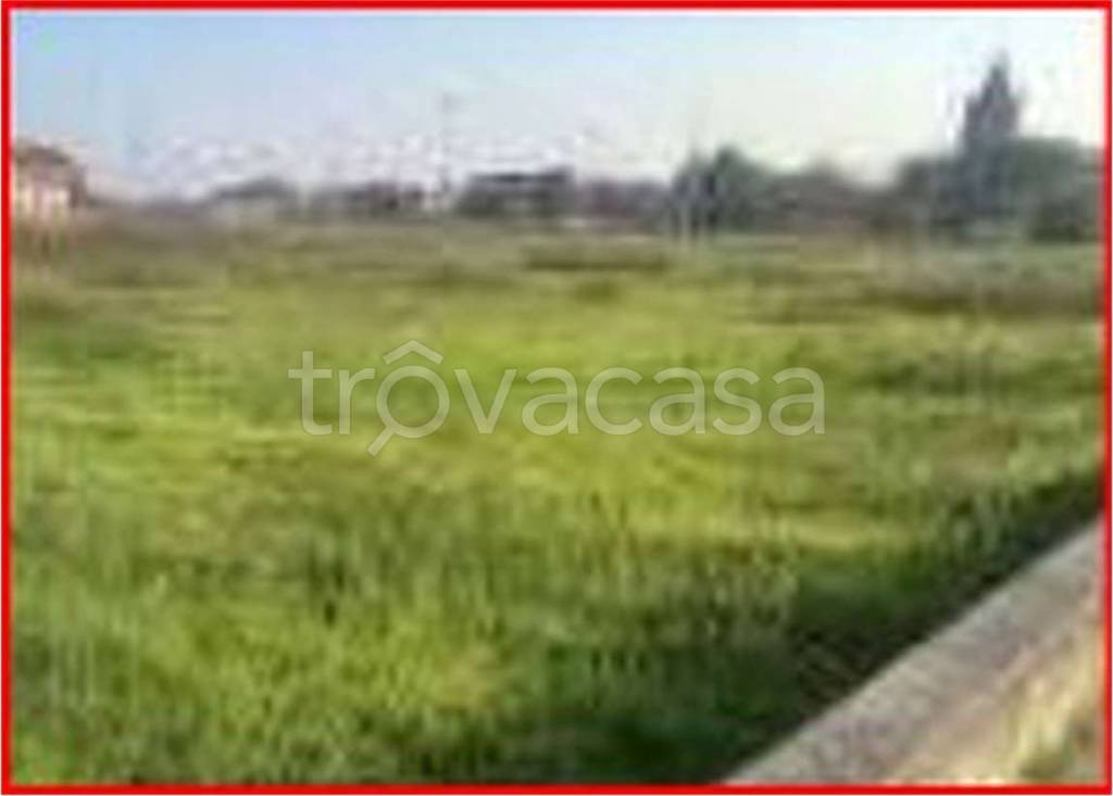 immagine annuncio 3 di 11