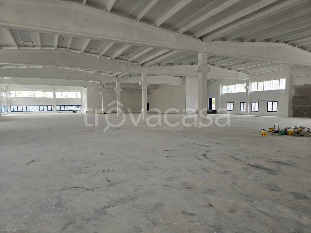 immagine annuncio 3 di 7