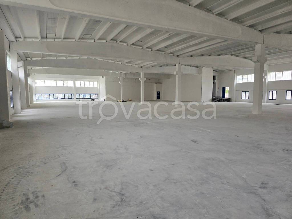 immagine annuncio 4 di 7