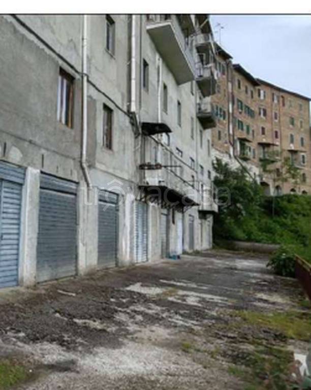 immagine annuncio 4 di 14