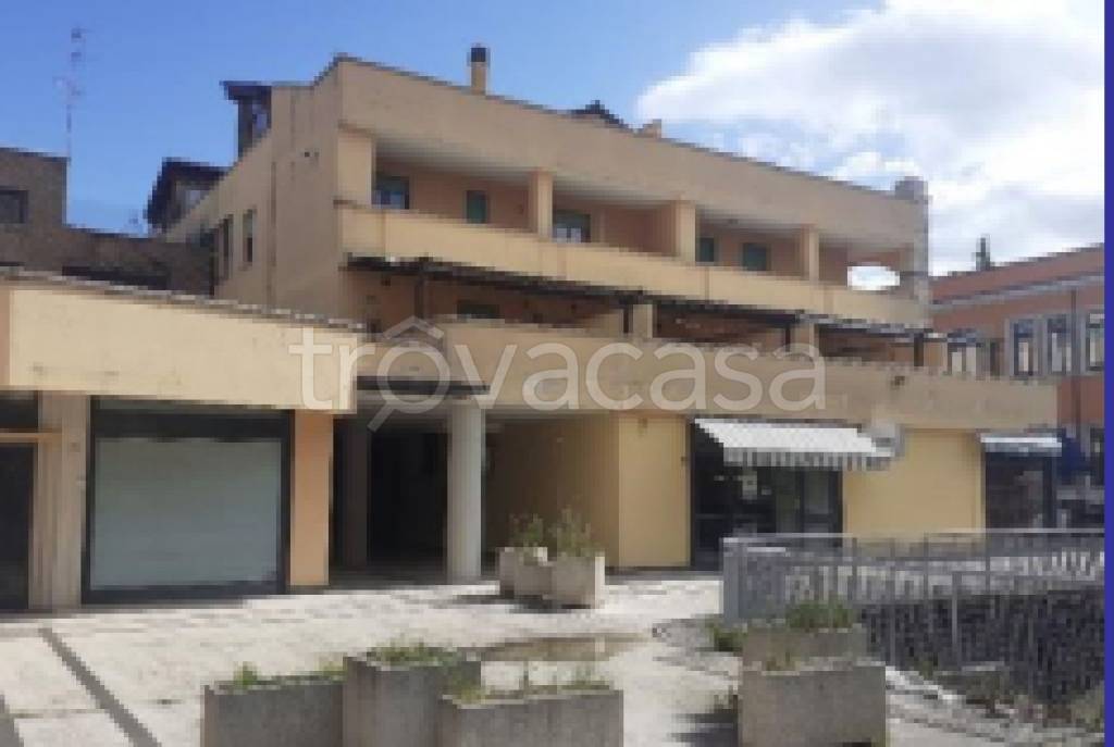 immagine annuncio 10 di 12