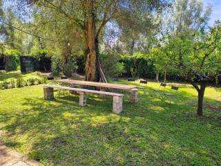 Terreno agricolo in vendita a cittanova via nazionale