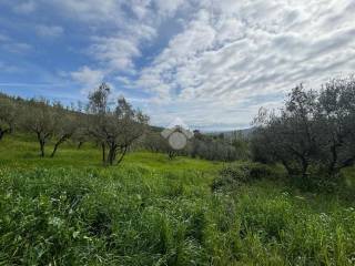 Terreno commerciale in vendita a quarrata via delle poggiole