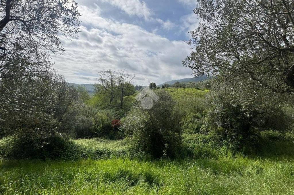 immagine annuncio 6 di 14