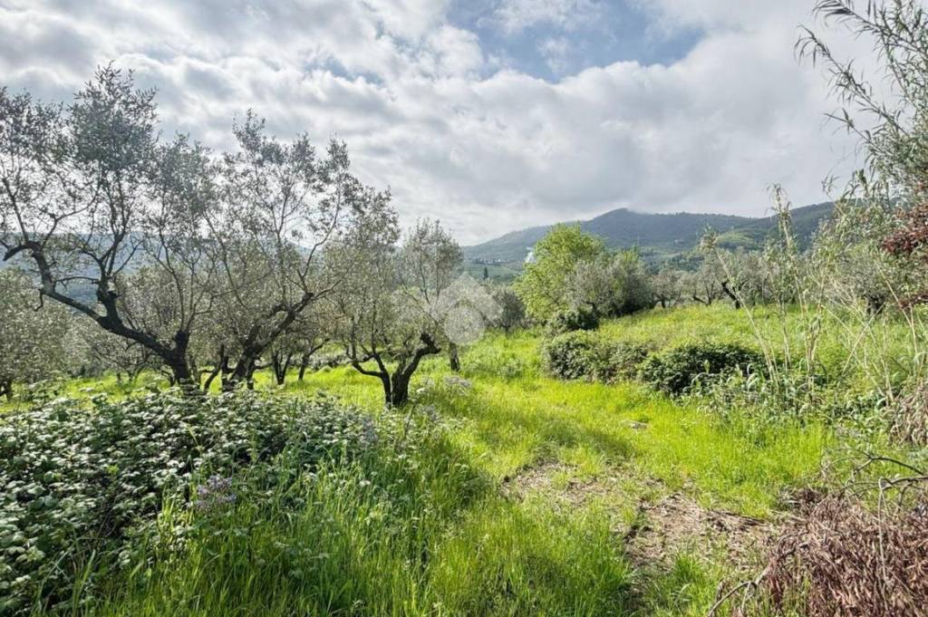 immagine annuncio 8 di 14