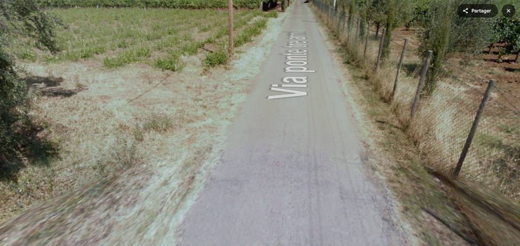 immagine annuncio 11 di 14