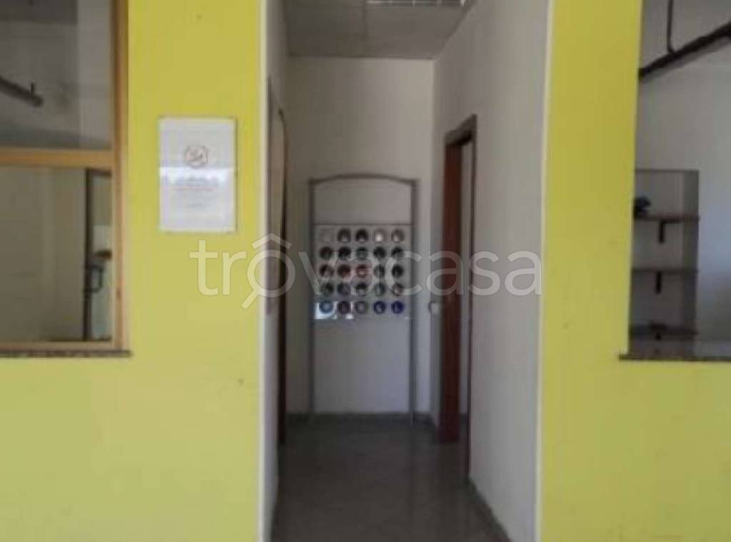 immagine annuncio 10 di 12