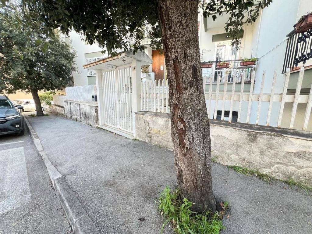 immagine annuncio 5 di 8
