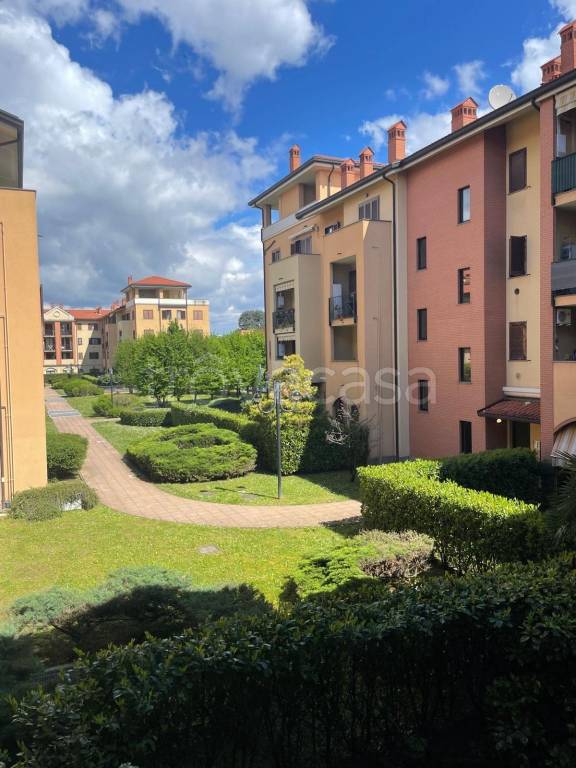 immagine annuncio 14 di 15