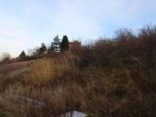 Terreno agricolo all'asta a castrocaro terme e terra del sole via rio cozzi