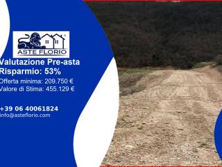 Terreno agricolo all'asta a cagli via flaminia nord