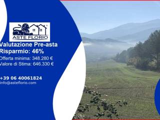 Terreno agricolo all'asta a cagli strada monte peruzzo