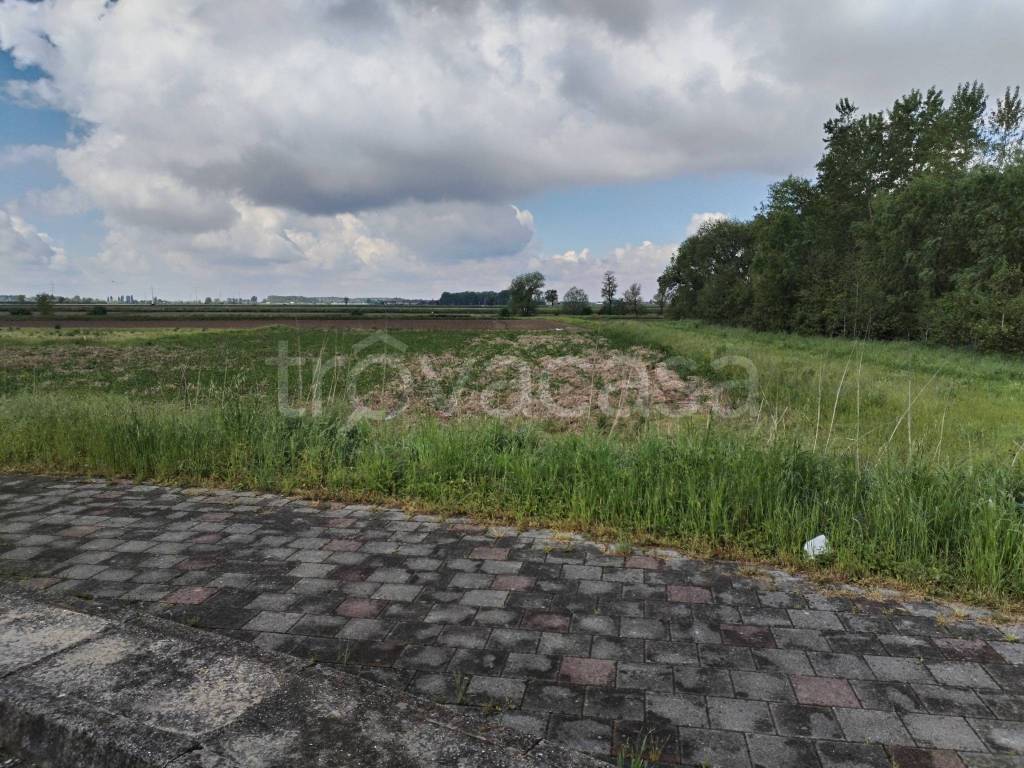 immagine annuncio 1 di 4