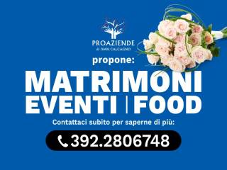 Ristorante in affitto a piacenza piazza dei cavalli
