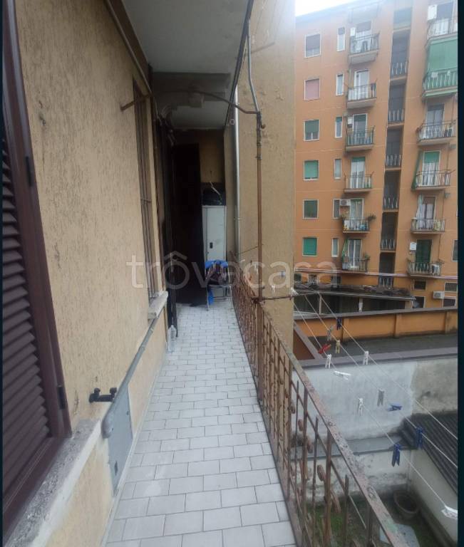 immagine annuncio 3 di 11