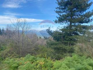 Terreno agricolo in vendita a linguaglossa strada mareneve